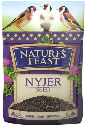 Natures Feast Nyjer Seed 1kg Bird Food